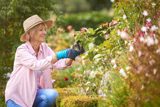 conseils pour aménager jardin