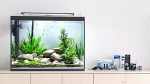 filtre aquarium