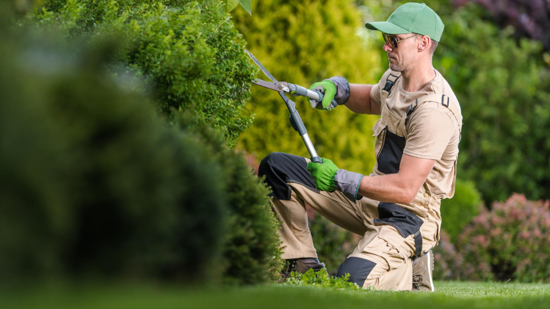 Pourquoi faire appel à un jardinier à Angers améliore votre quotidien ?
