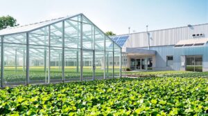 Le Décret BACS : Quel Impact pour les Serres et Bâtiments Agricoles ?