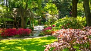 Réveiller son extérieur après l’hiver : nos conseils pour un jardin plein de vie
