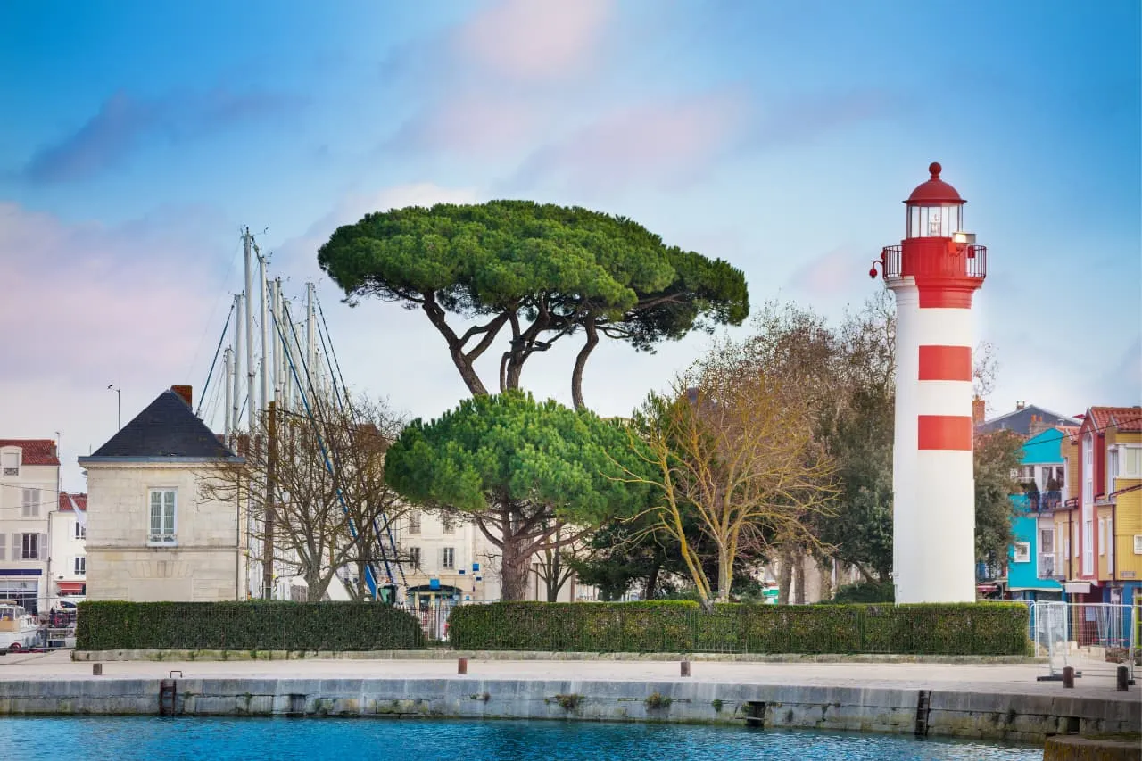 Quels arbres planter en Charente-Maritime ? Conseils pratiques pour réussir son jardin