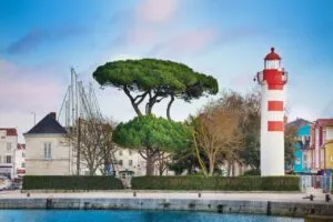 Quels arbres planter en Charente-Maritime ? Conseils pratiques pour réussir son jardin