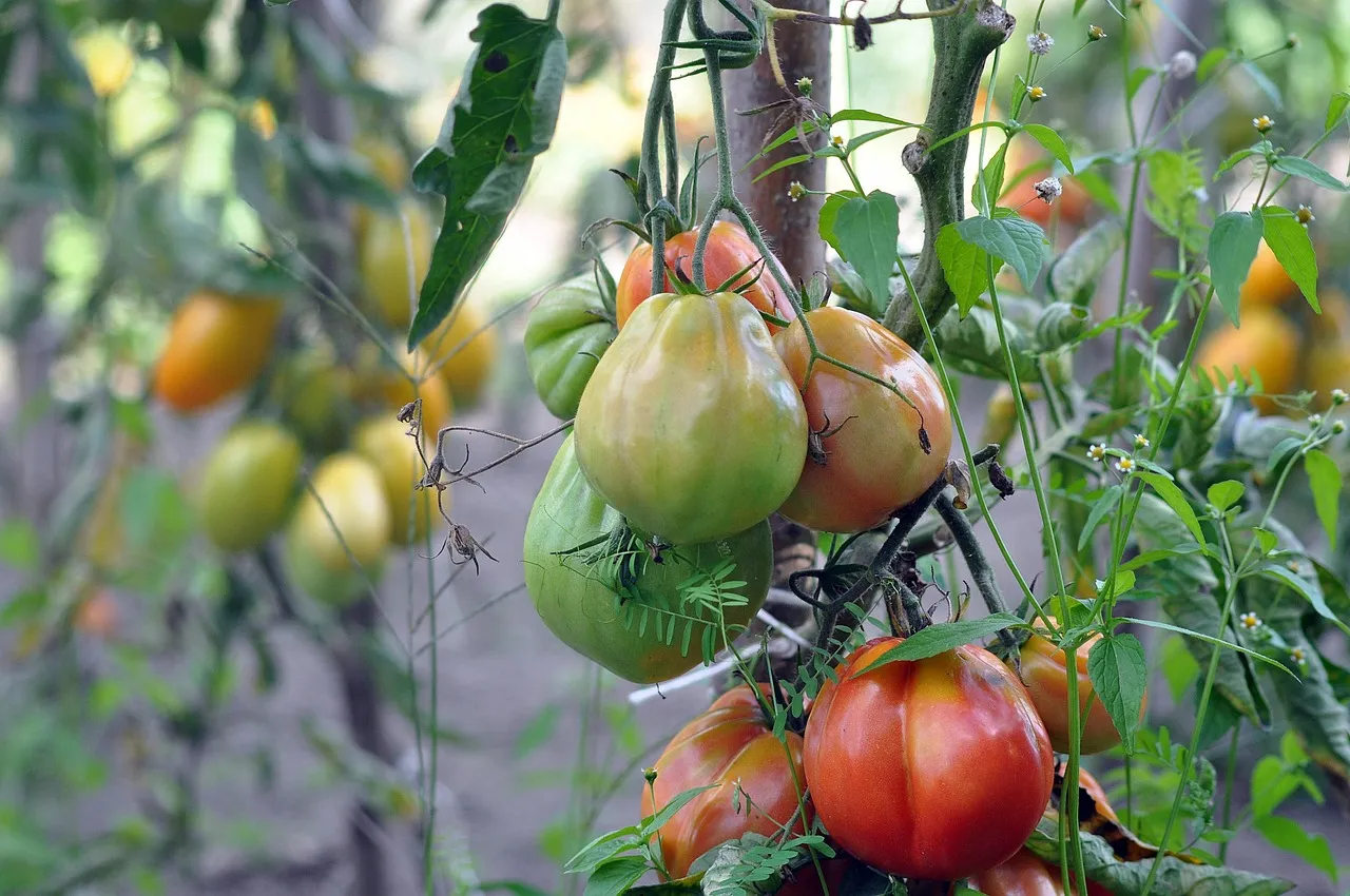 Arroser pendant son absence : les solutions d’arrosage autonome pour un jardin toujours verdoyant