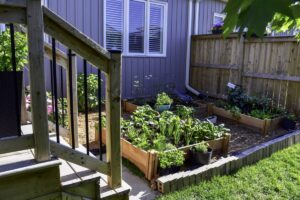 Jardin écoresponsable à Monaco : comment concilier esthétisme et respect de l'environnement ?