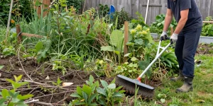 Comment débroussailler un terrain envahi sans abîmer le jardin ?